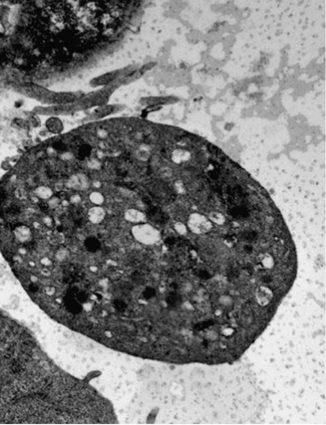 HemostOD Partnering Opportunities - Scientific Research
